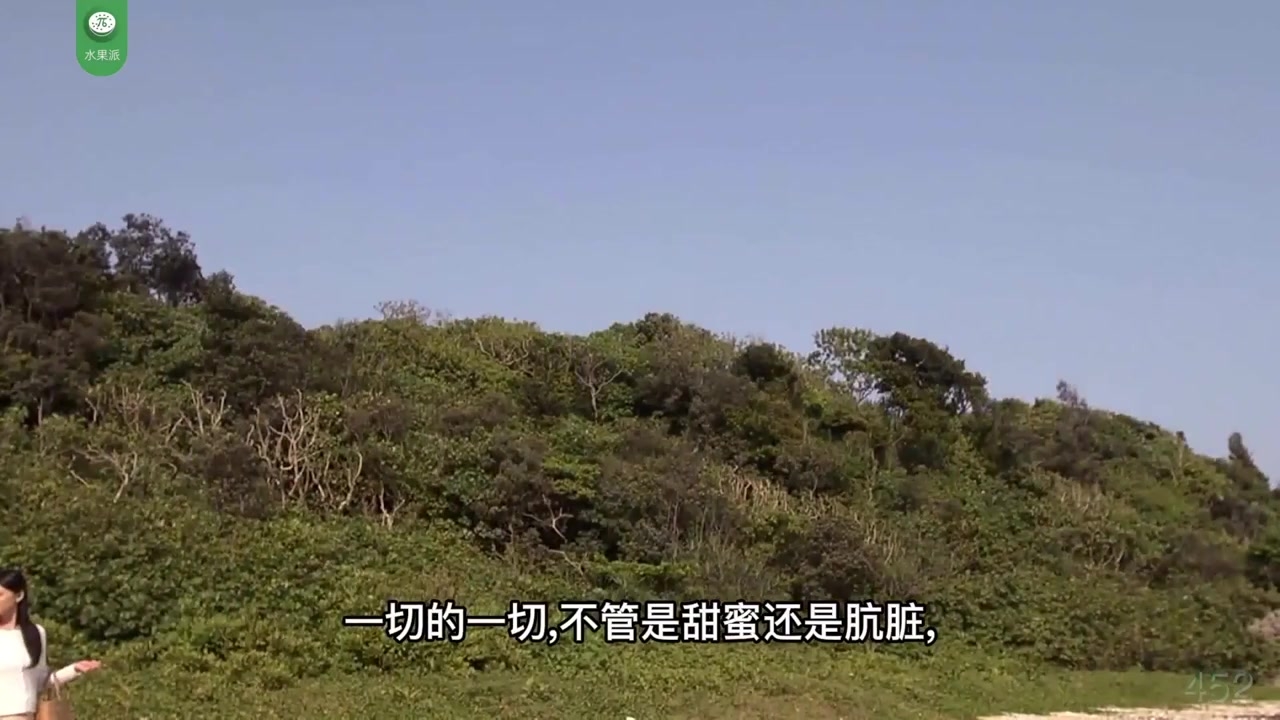 【水果派】甘蔗地里，孤独的后妈被盯上