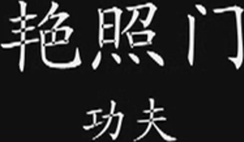 【高清修复】陈冠希“艳照门”事件！包含多女主 柏芝 阿娇 等明星！