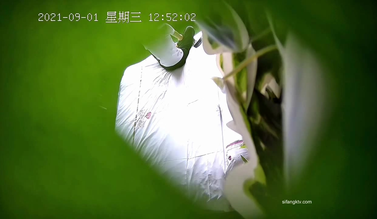 最新流出酒店绿叶房偷拍猛男一下午连续干了刚怀孕不久的大奶少妇三次尝尝怀孕逼的味道