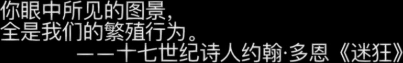 最新众筹G哥精品大尺度白金版黑丝高跟模特豹豹被摄影师淫猥逼逼1080P高清版