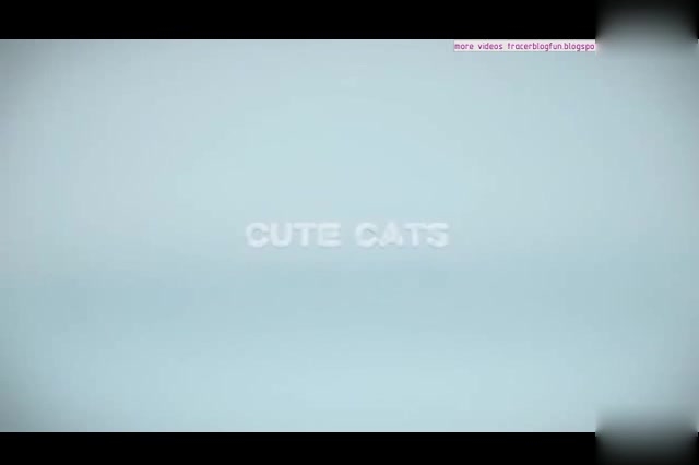 [3D]CUTE CAT～新人GDoLのあまあま全力ご奉仕っ!～[夜桜字幕组]