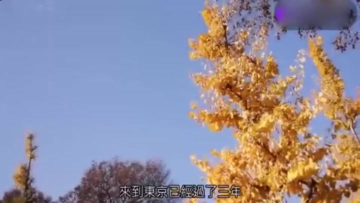 假装处女的絶伦朴素女[中文字幕]